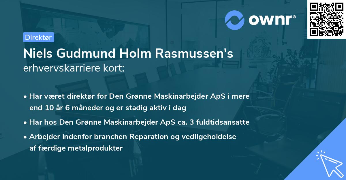 Niels Gudmund Holm Rasmussen's erhvervskarriere kort