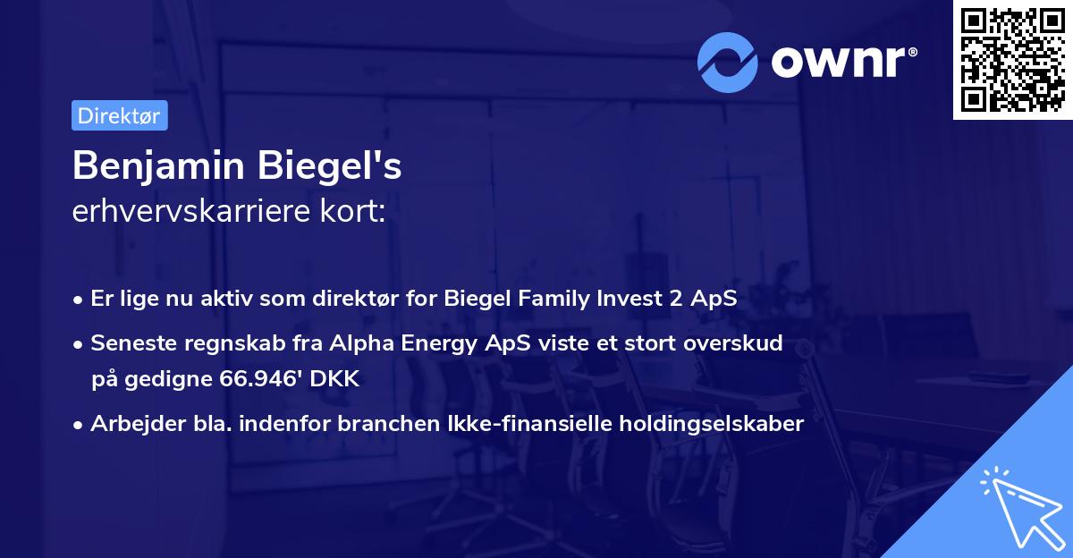 Benjamin Biegel's erhvervskarriere kort