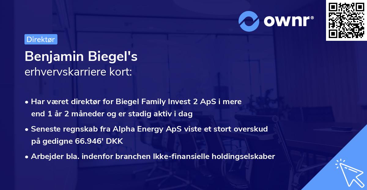 Benjamin Biegel's erhvervskarriere kort