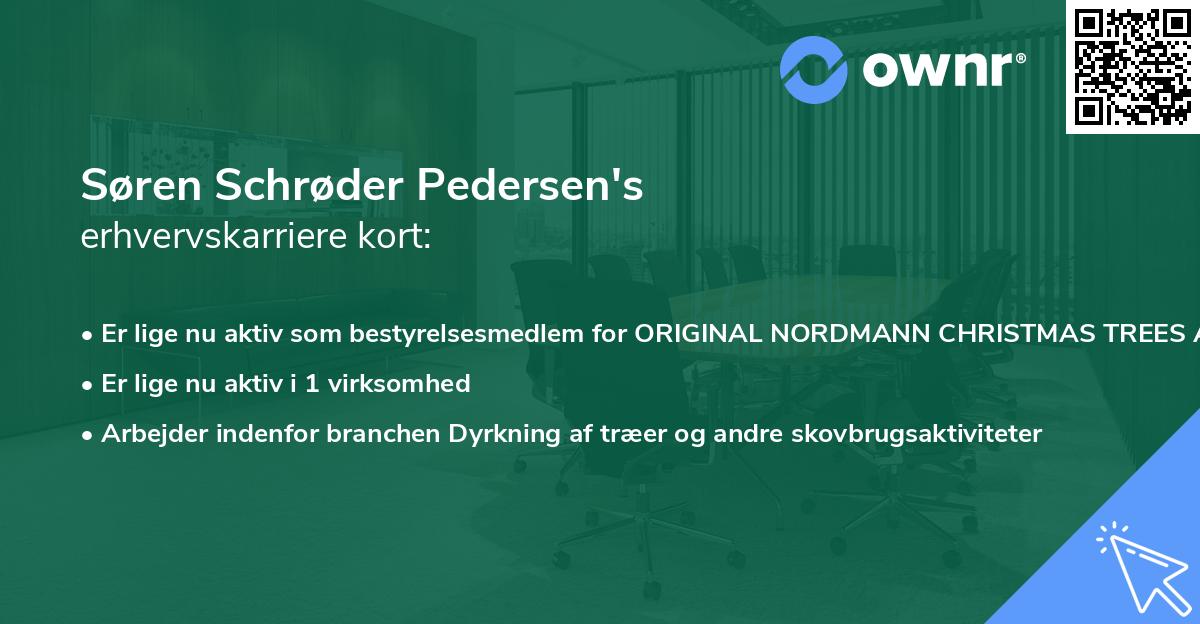 Søren Schrøder Pedersen's erhvervskarriere kort