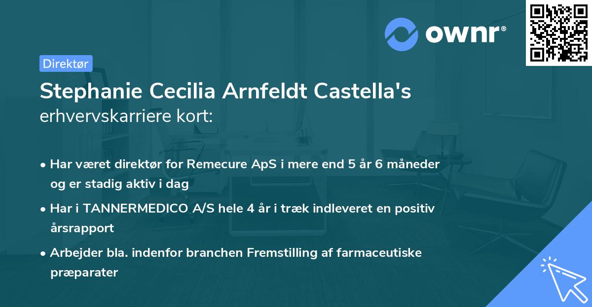 Stephanie Cecilia Arnfeldt Castella's erhvervskarriere kort