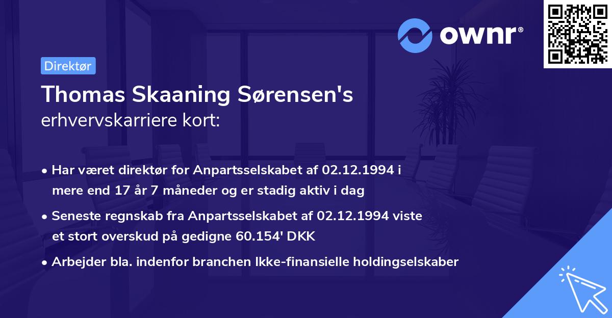 Thomas Skaaning Sørensen's erhvervskarriere kort