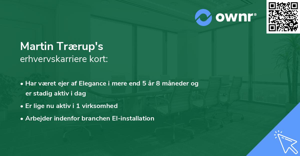 Martin Trærup's erhvervskarriere kort