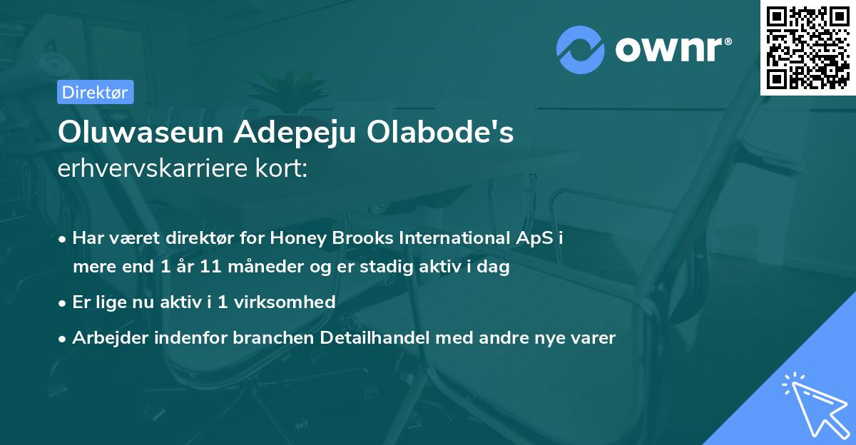 Oluwaseun Adepeju Olabode's erhvervskarriere kort