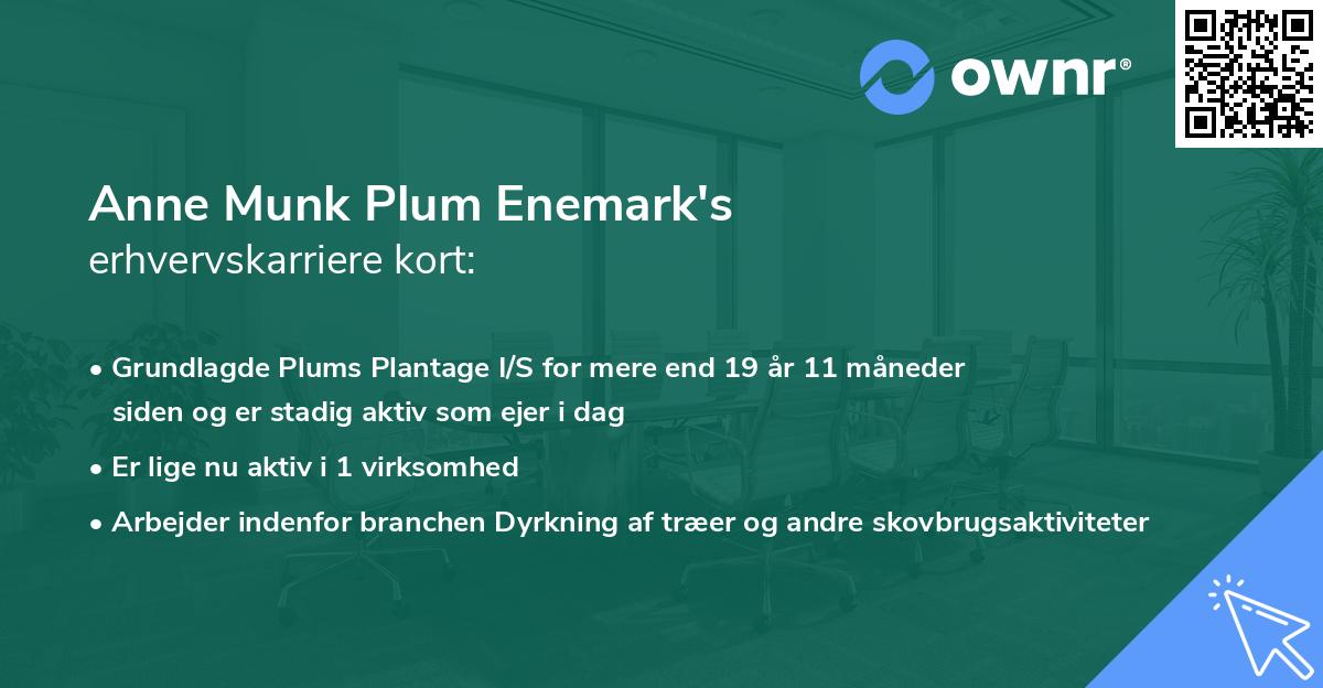 Anne Munk Plum Enemark's erhvervskarriere kort