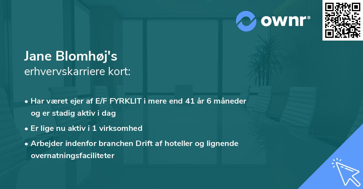 Jane Blomhøj's erhvervskarriere kort