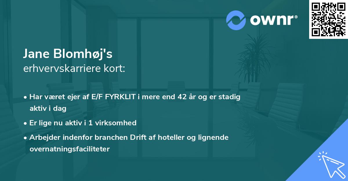 Jane Blomhøj's erhvervskarriere kort