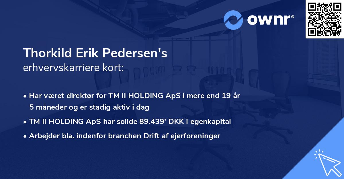 Thorkild Erik Pedersen's erhvervskarriere kort
