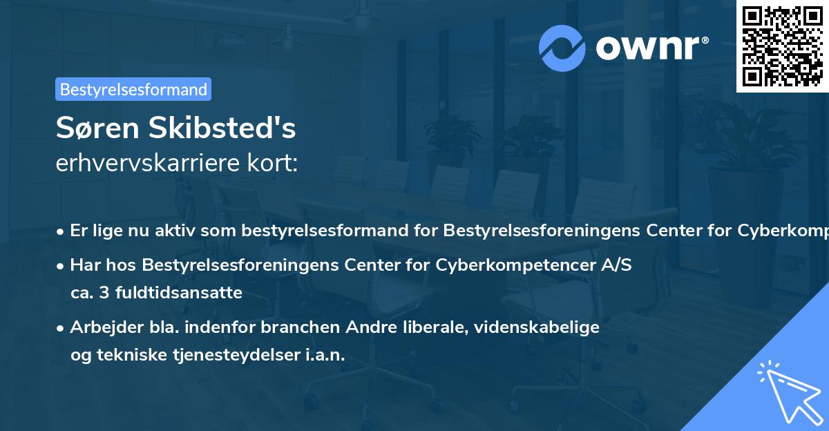 Søren Skibsted's erhvervskarriere kort