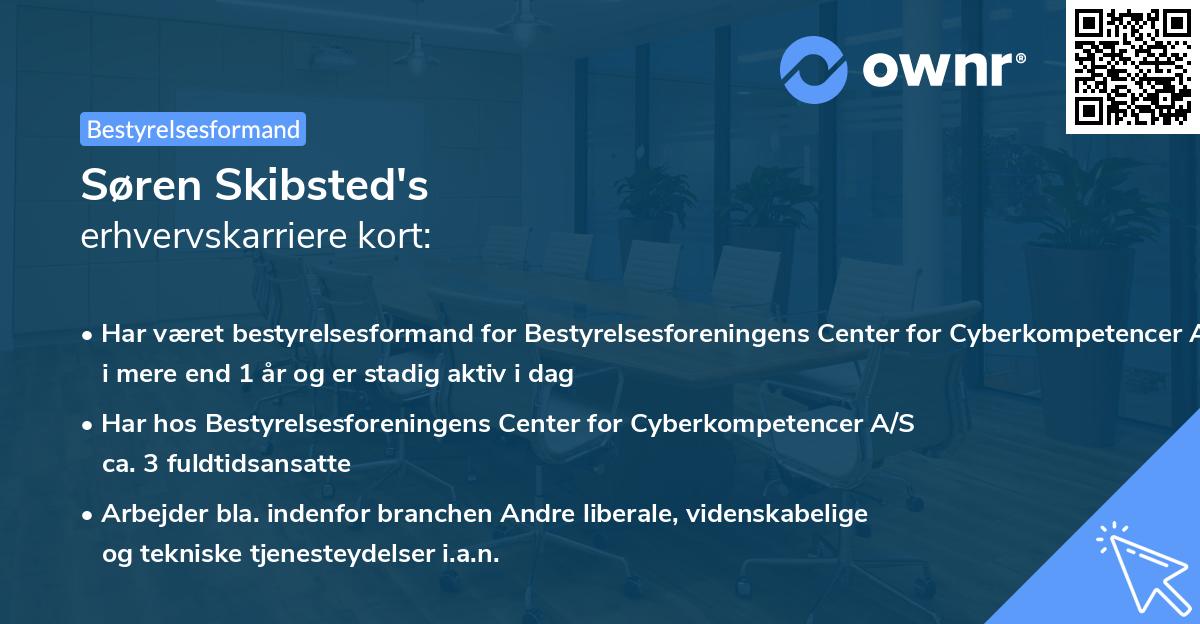 Søren Skibsted's erhvervskarriere kort