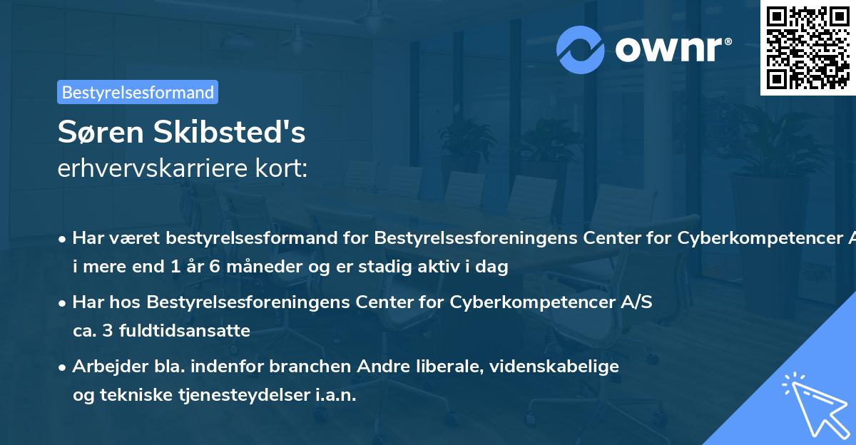 Søren Skibsted's erhvervskarriere kort