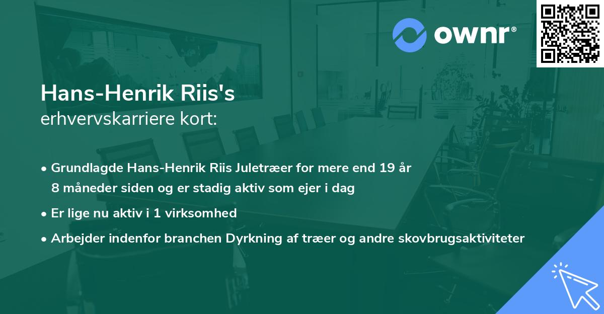 Hans-Henrik Riis's erhvervskarriere kort