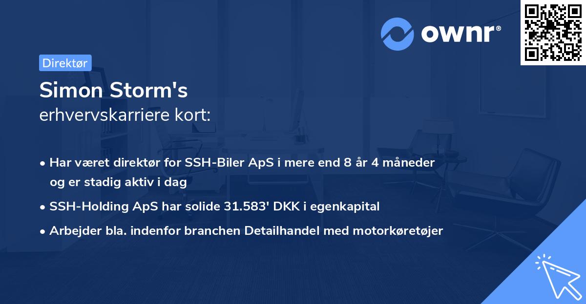 Simon Storm's erhvervskarriere kort