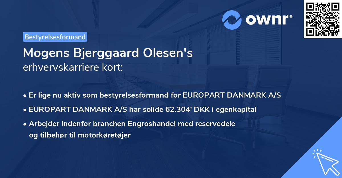 Mogens Bjerggaard Olesen's erhvervskarriere kort