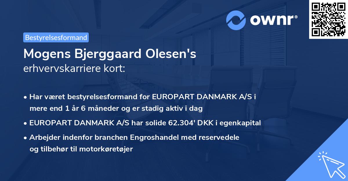 Mogens Bjerggaard Olesen's erhvervskarriere kort