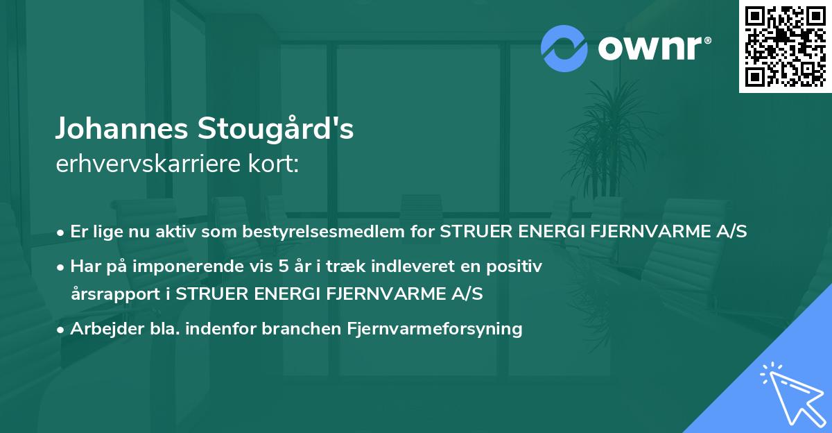 Johannes Stougård's erhvervskarriere kort