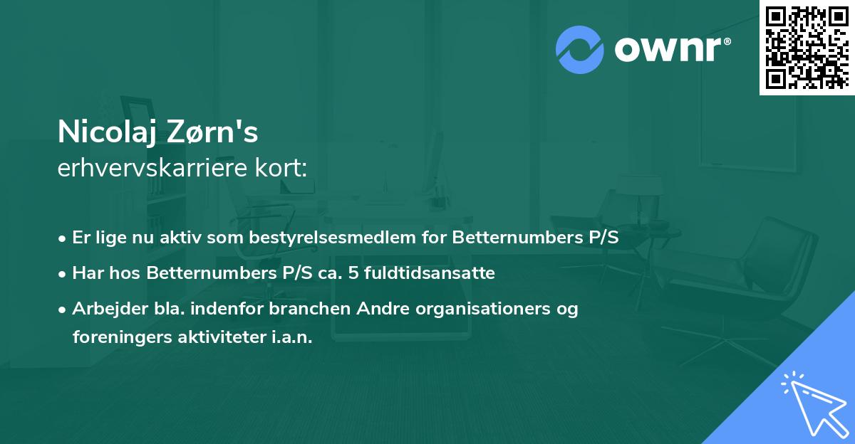 Nicolaj Zørn's erhvervskarriere kort