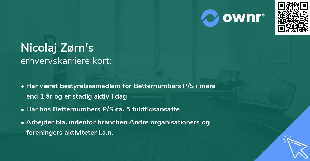 Nicolaj Zørn's erhvervskarriere kort