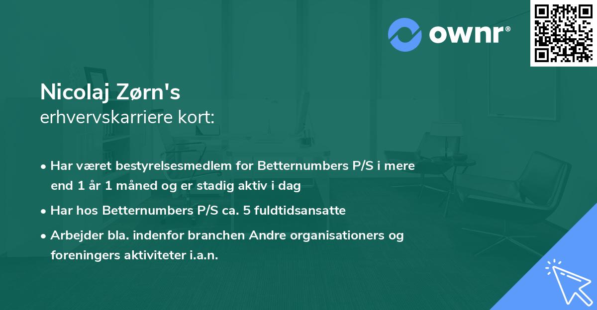Nicolaj Zørn's erhvervskarriere kort