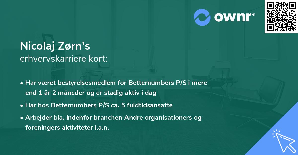 Nicolaj Zørn's erhvervskarriere kort