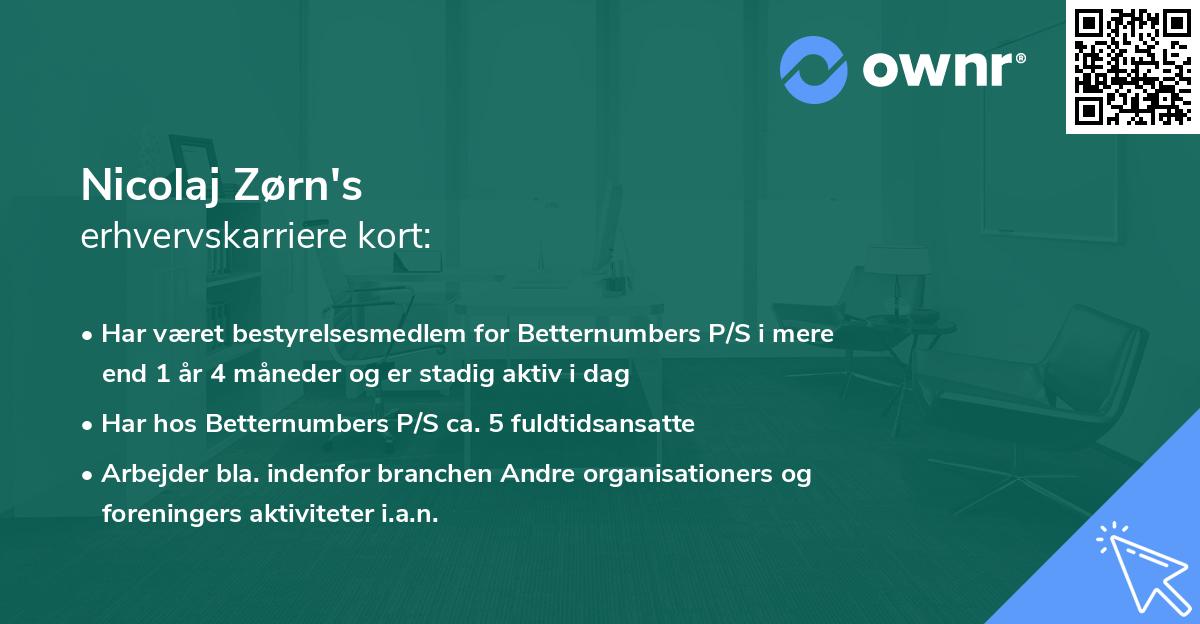 Nicolaj Zørn's erhvervskarriere kort