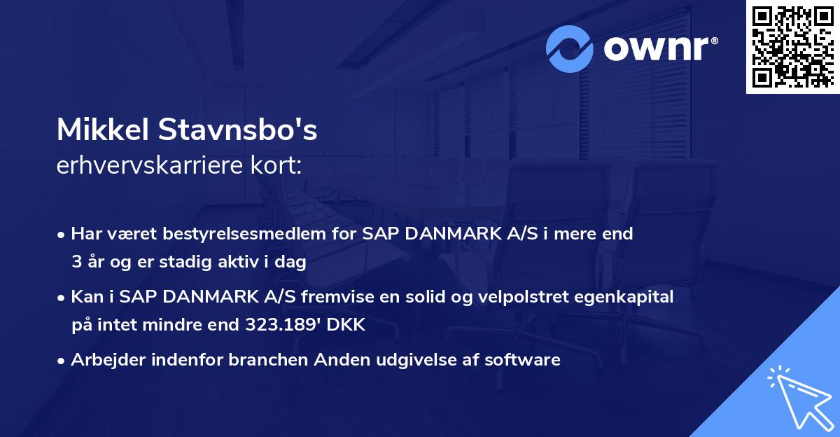 Mikkel Stavnsbo's erhvervskarriere kort
