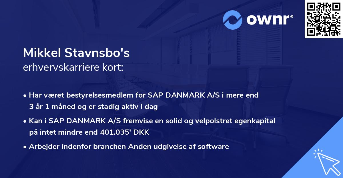 Mikkel Stavnsbo's erhvervskarriere kort