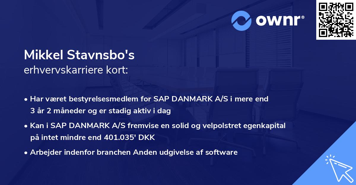 Mikkel Stavnsbo's erhvervskarriere kort
