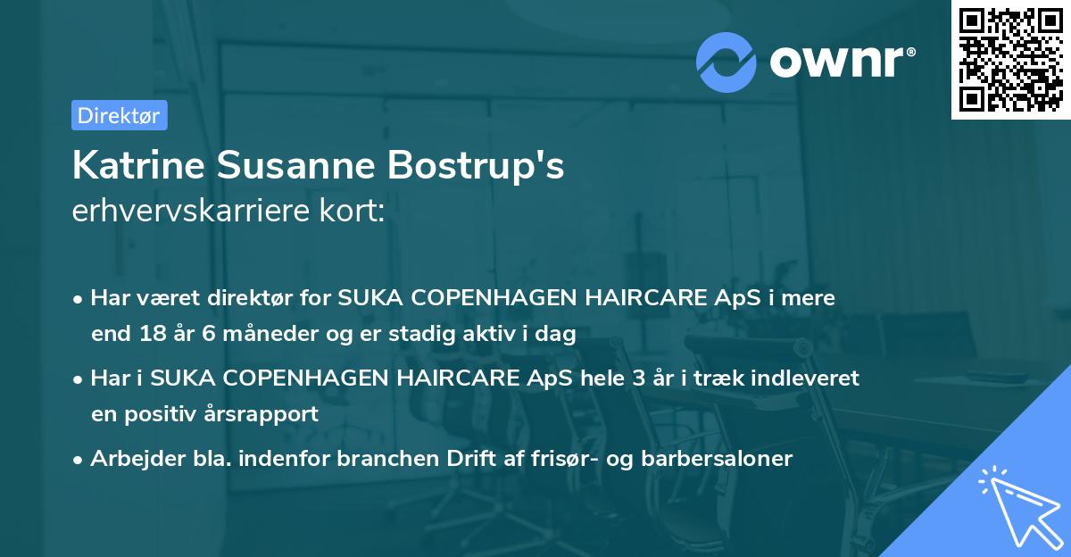 Katrine Susanne Bostrup's erhvervskarriere kort