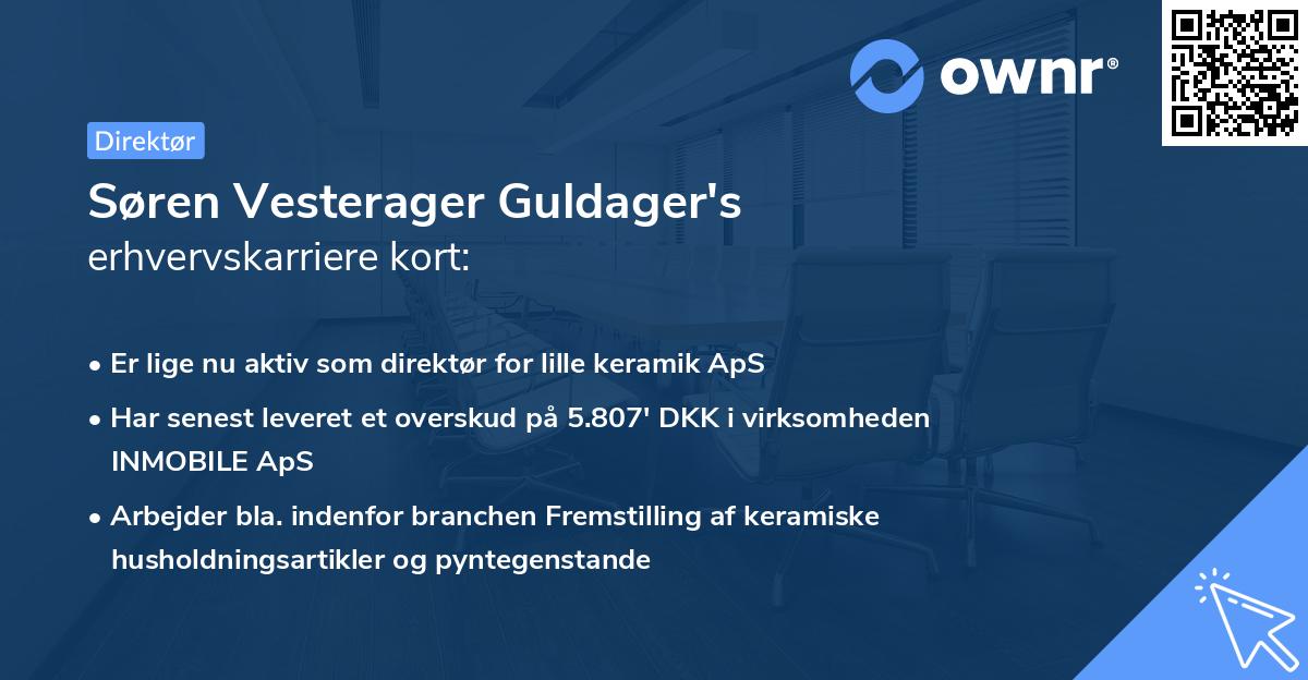 Søren Vesterager Guldager's erhvervskarriere kort