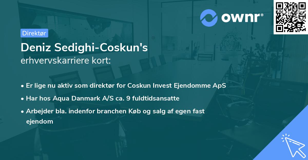 Deniz Sedighi-Coskun's erhvervskarriere kort