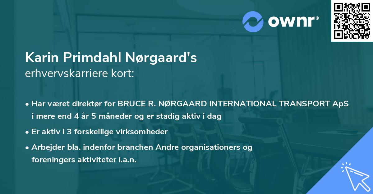 Karin Primdahl Nørgaard's erhvervskarriere kort