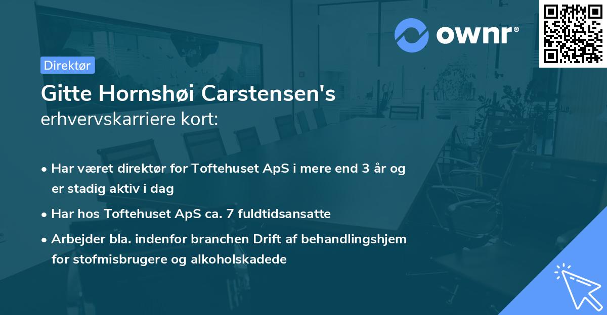 Gitte Hornshøi Carstensen's erhvervskarriere kort