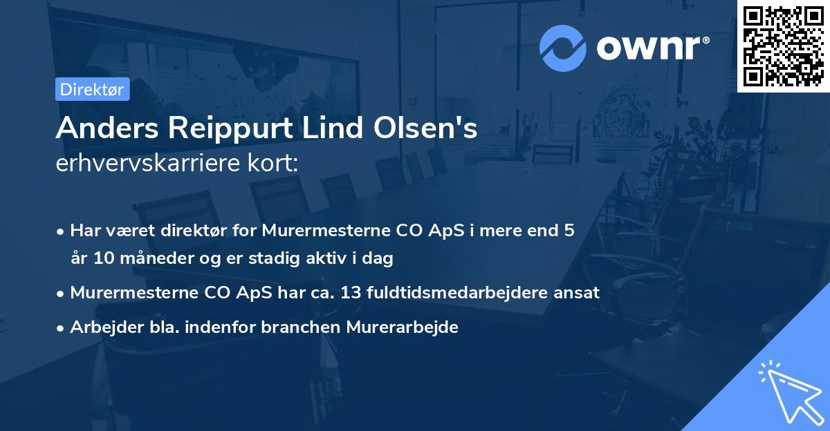 Anders Reippurt Lind Olsen's erhvervskarriere kort