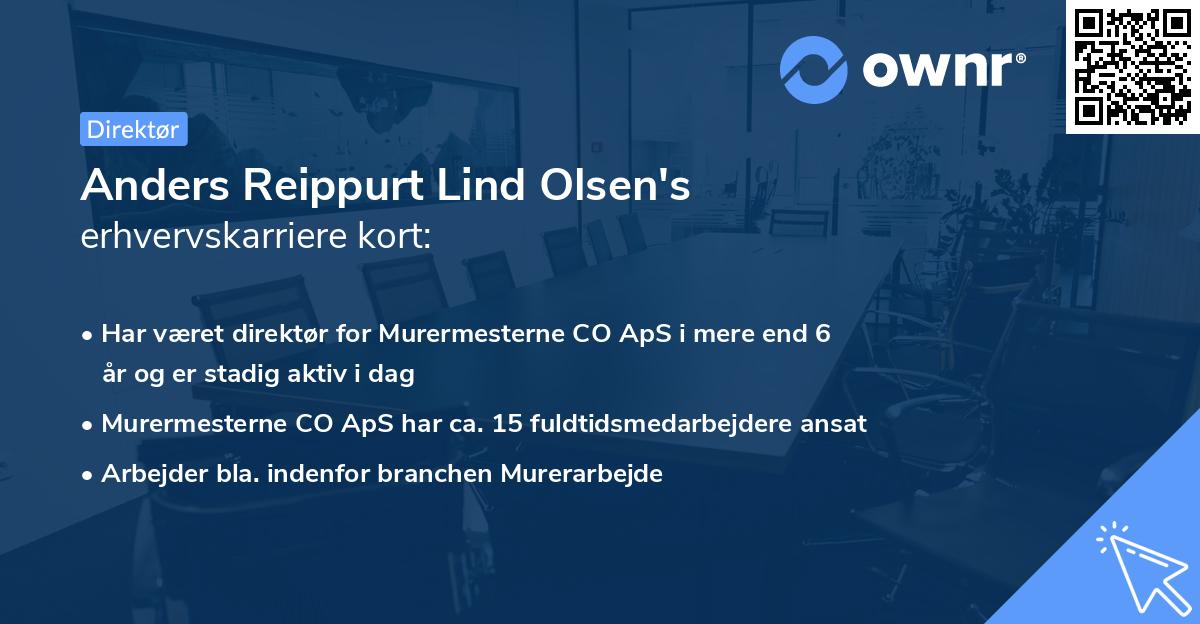 Anders Reippurt Lind Olsen's erhvervskarriere kort
