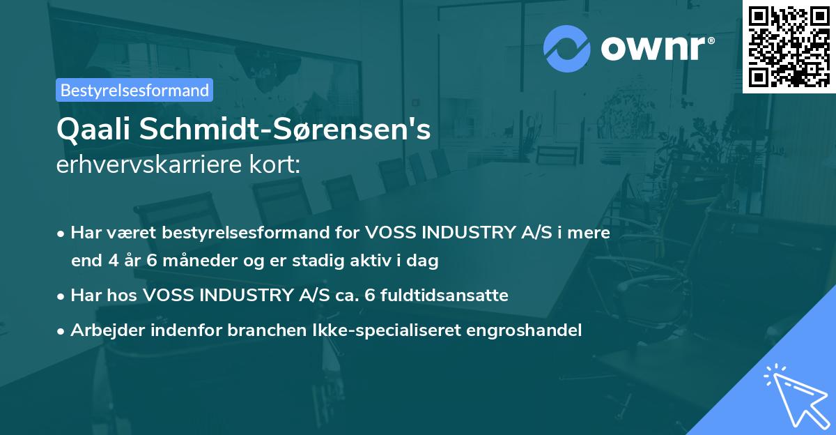 Qaali Schmidt-Sørensen's erhvervskarriere kort