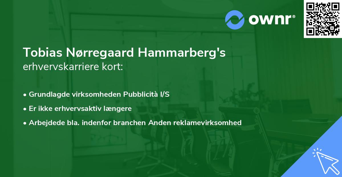 Tobias Nørregaard Hammarberg's erhvervskarriere kort