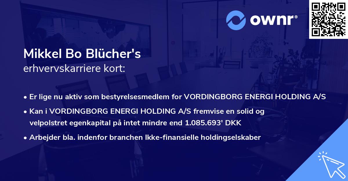 Mikkel Bo Blücher's erhvervskarriere kort