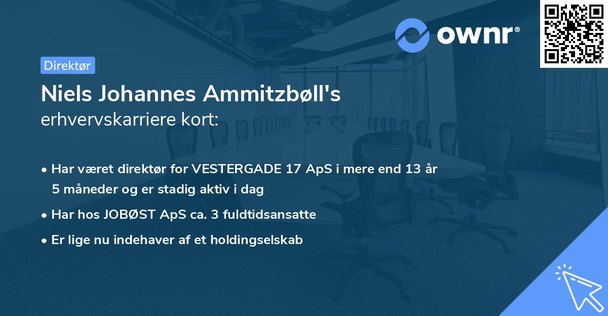 Niels Johannes Ammitzbøll's erhvervskarriere kort