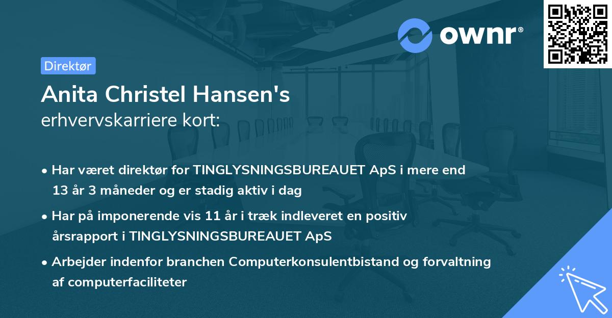 Anita Christel Hansen's erhvervskarriere kort
