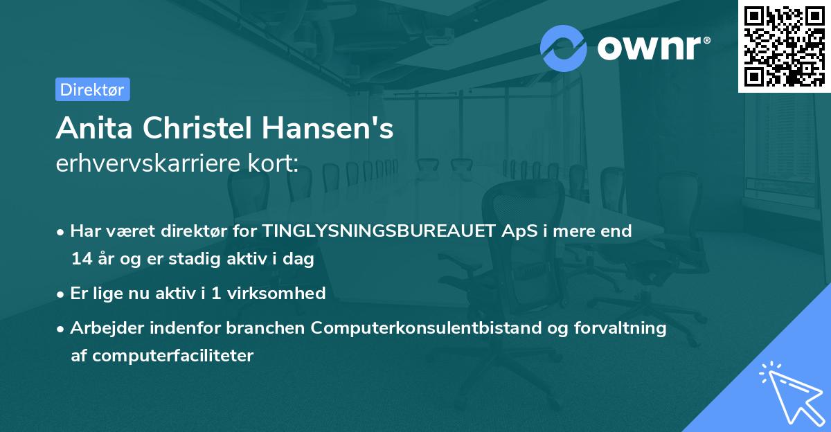 Anita Christel Hansen's erhvervskarriere kort