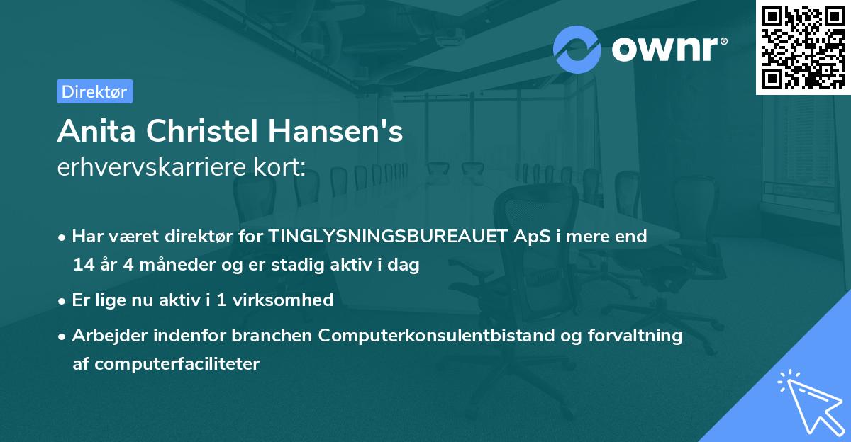 Anita Christel Hansen's erhvervskarriere kort