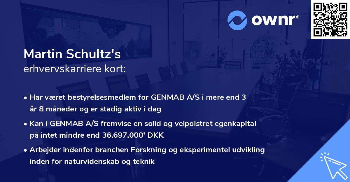 Martin Schultz's erhvervskarriere kort