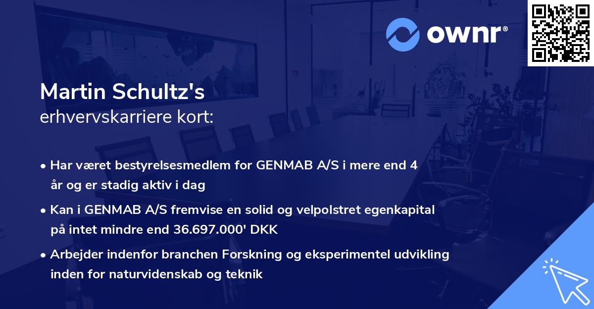 Martin Schultz's erhvervskarriere kort