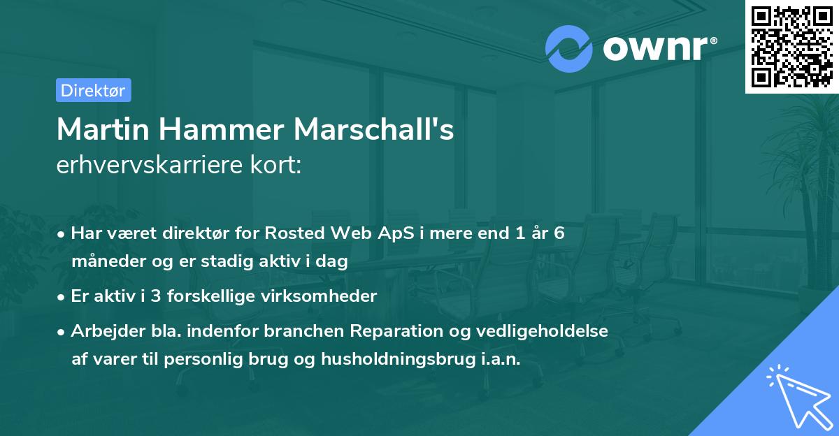 Martin Hammer Marschall's erhvervskarriere kort