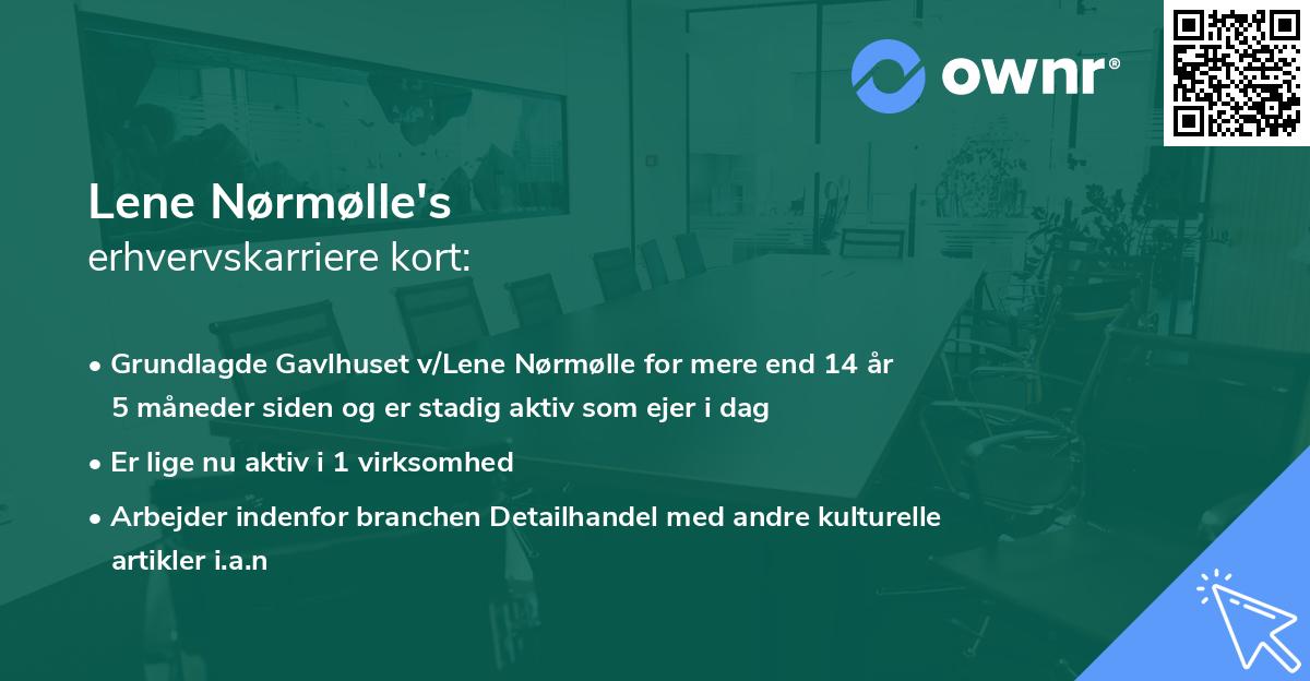 Lene Nørmølle's erhvervskarriere kort