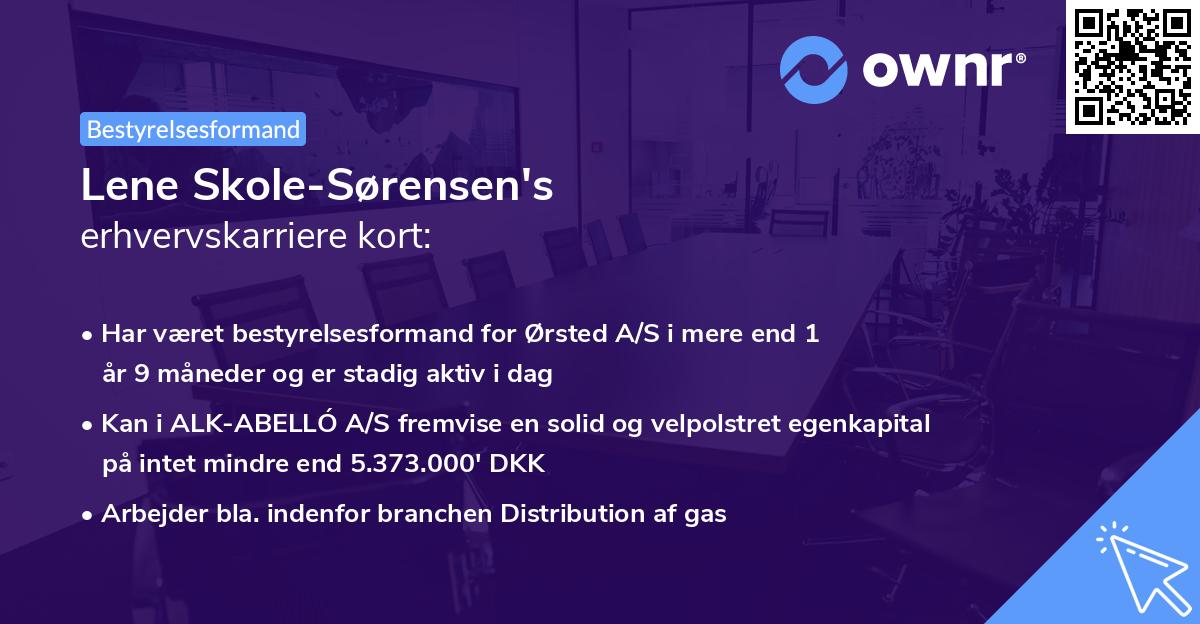 Lene Skole-Sørensen's erhvervskarriere kort