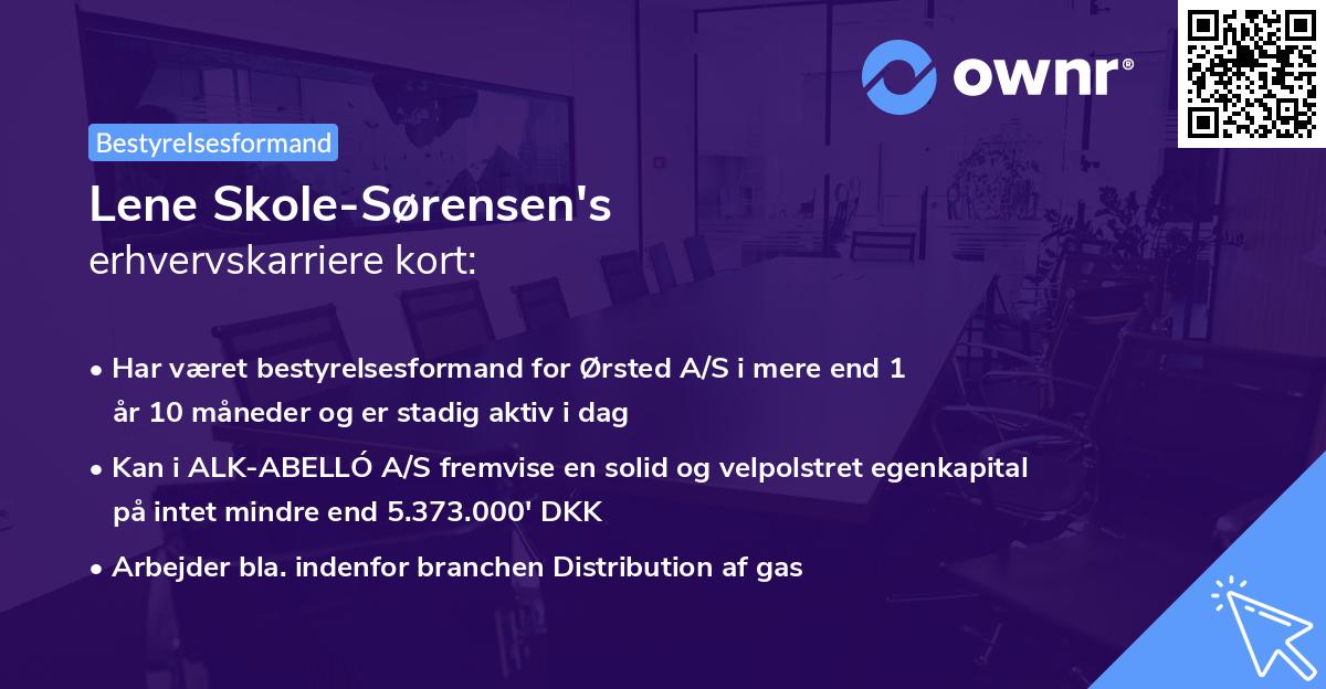 Lene Skole-Sørensen's erhvervskarriere kort