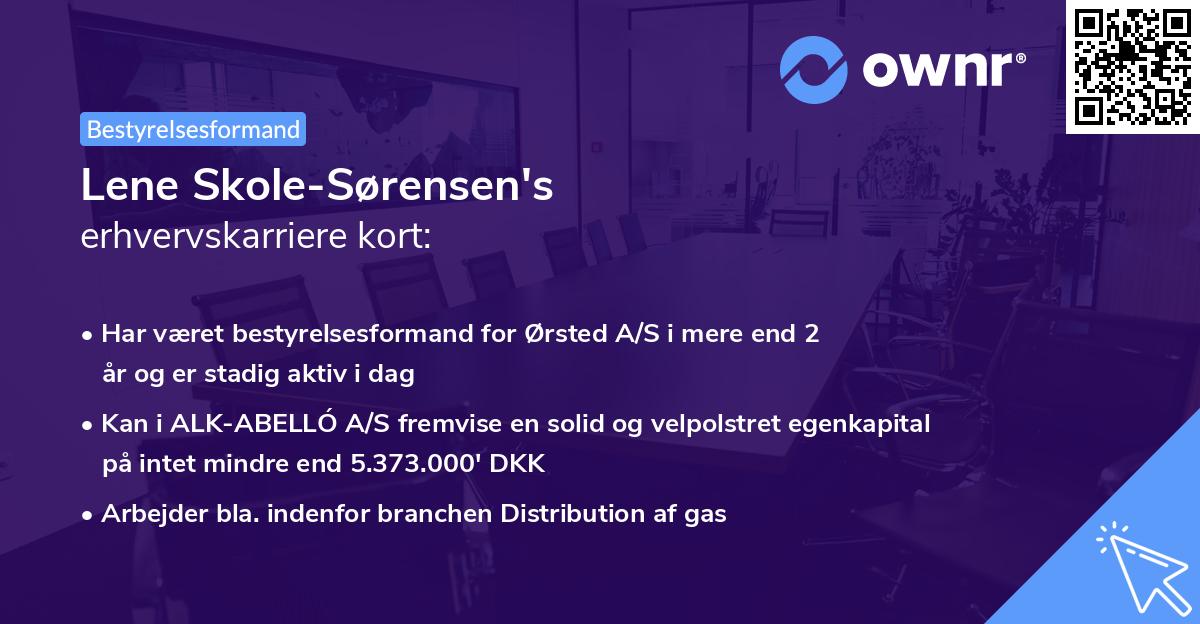 Lene Skole-Sørensen's erhvervskarriere kort