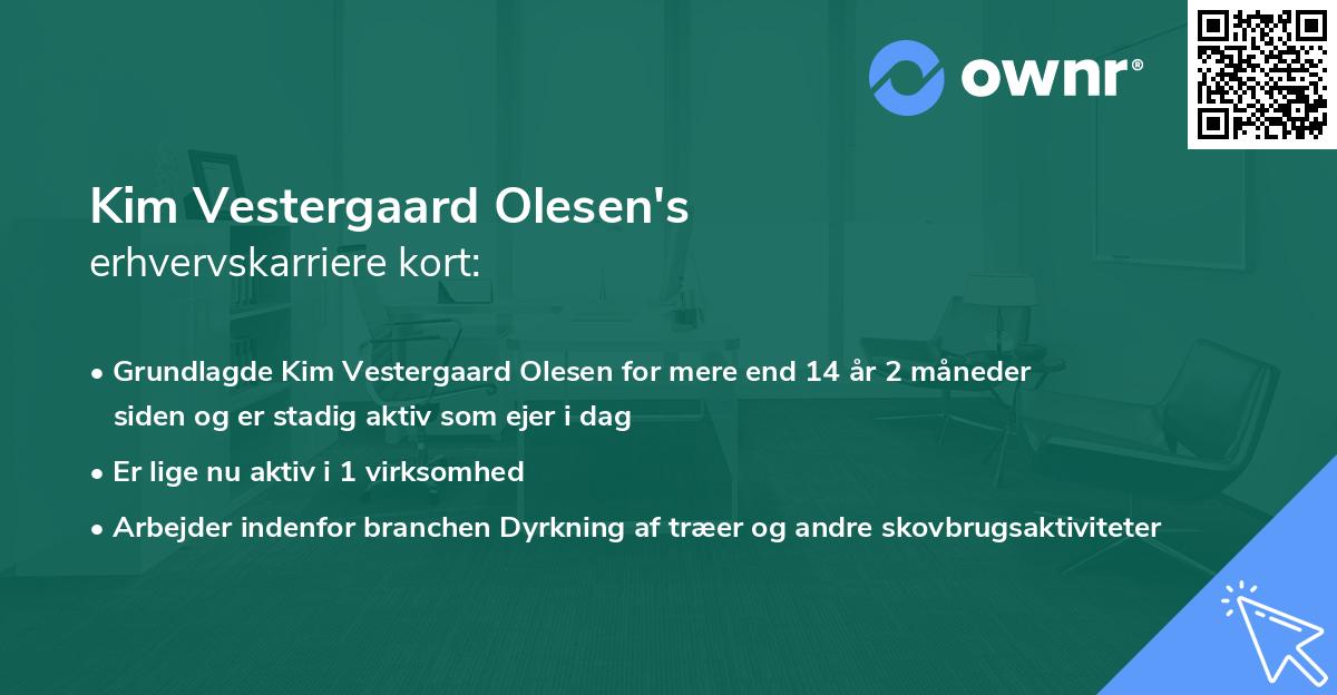 Kim Vestergaard Olesen's erhvervskarriere kort